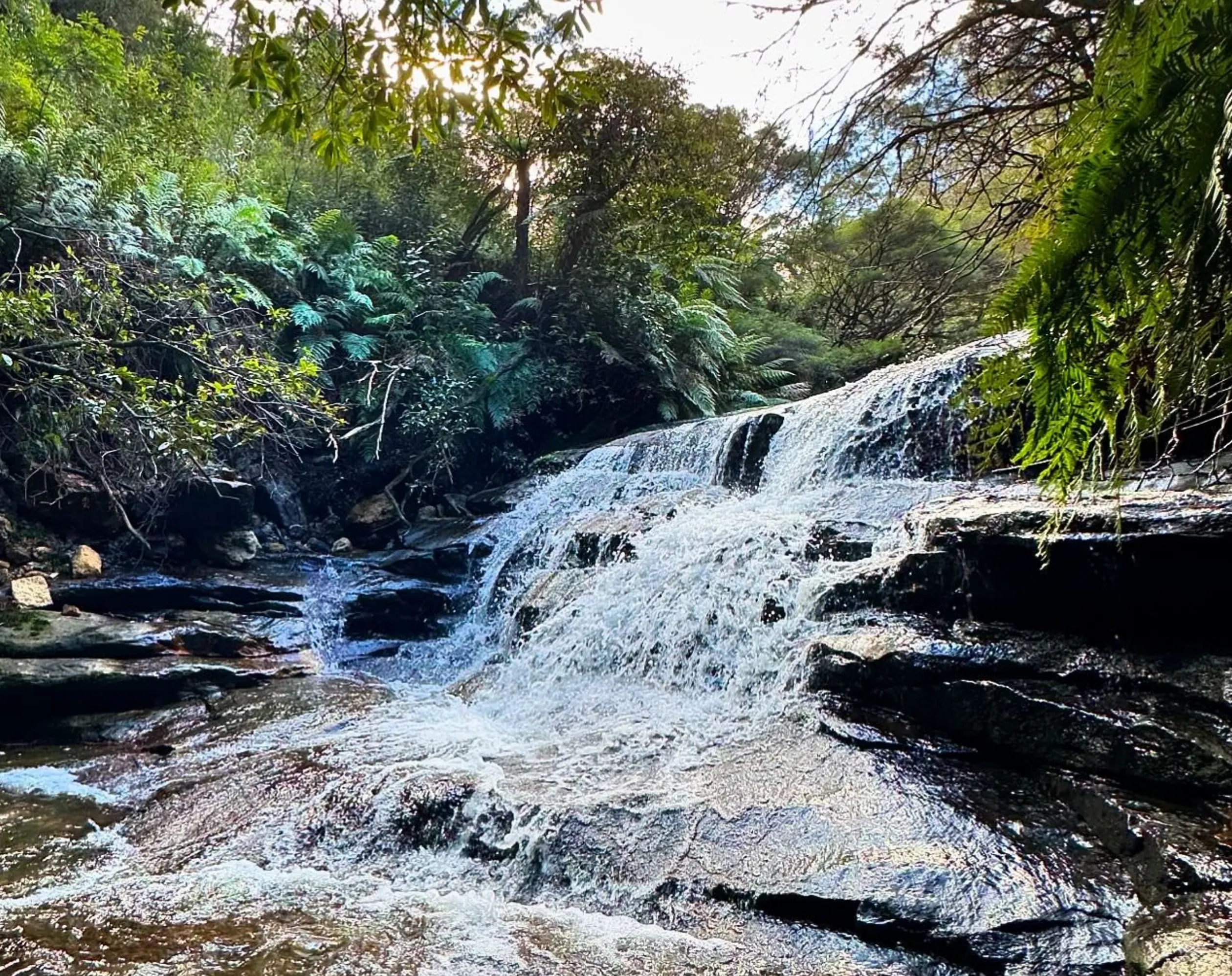 Leura Cascades