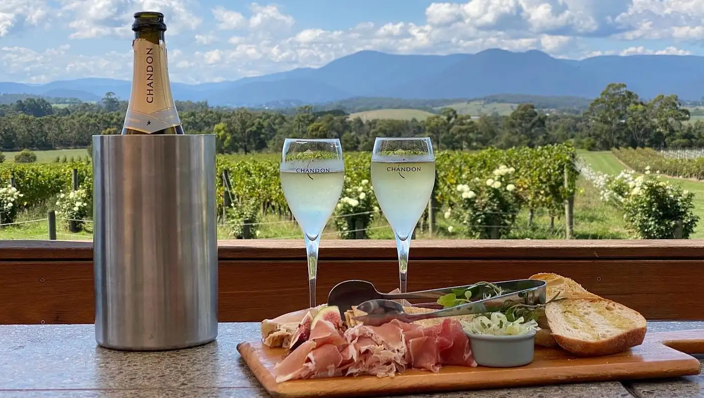 Yarra Valley Wine Tours from Melbourne