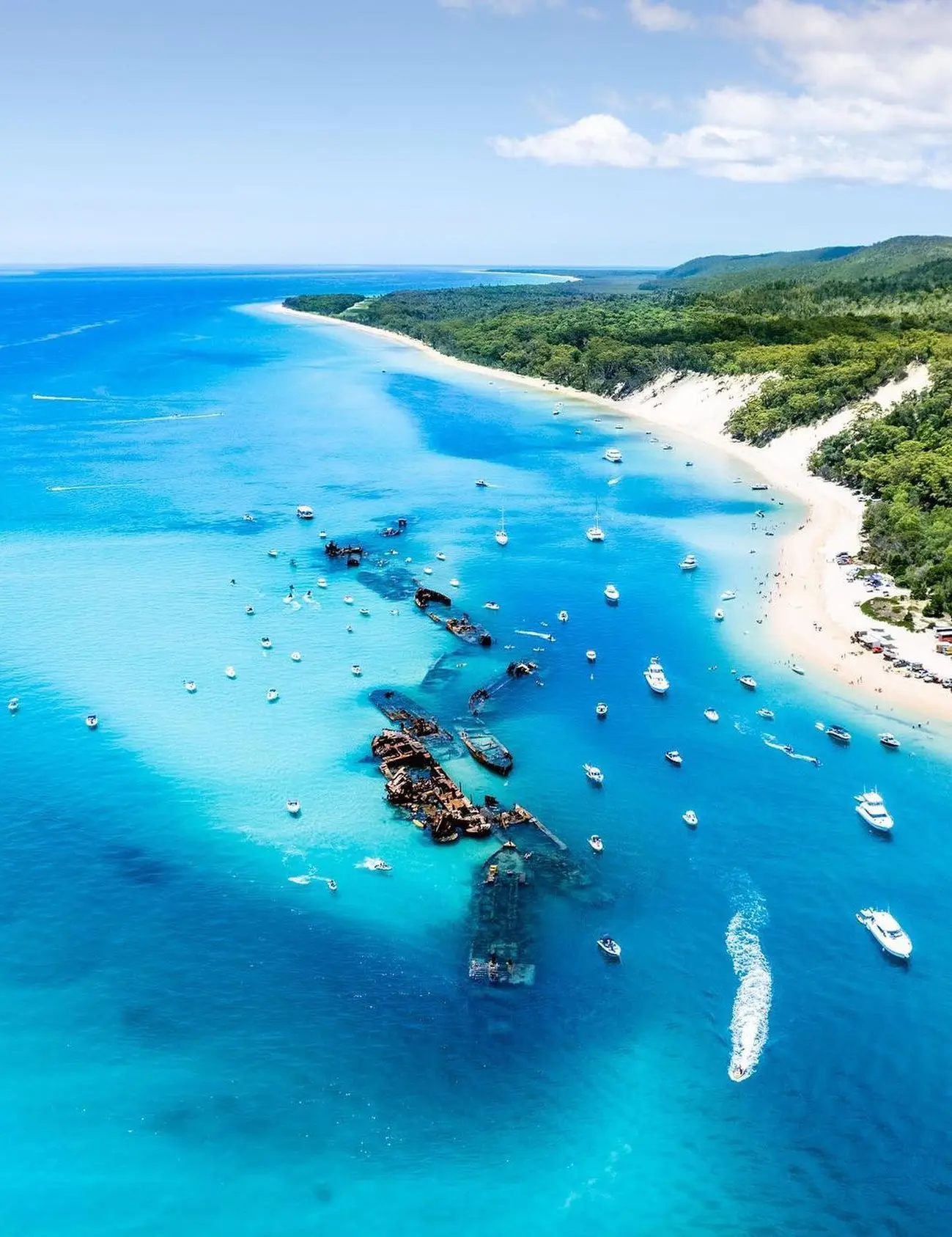 brisbane cage-free wildlife tours