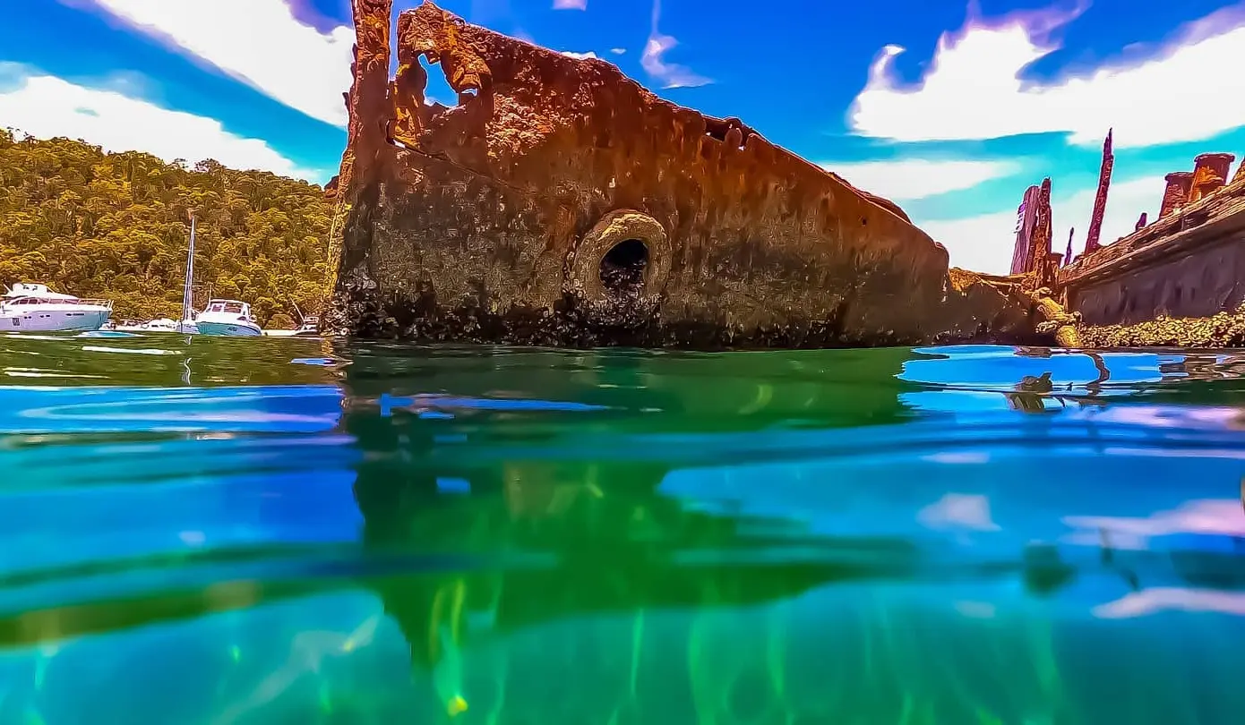 cage-free wildlife tours brisbane