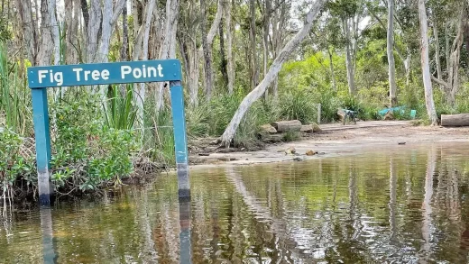 cagefree wildlife tours brisbane