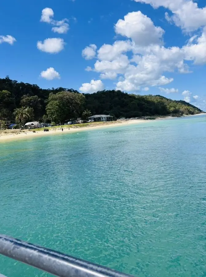 cage-free wildlife tours brisbane